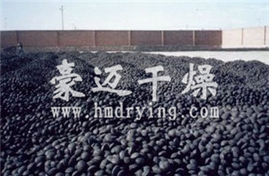 網(wǎng)帶式球團(tuán)烘干機(jī)成品